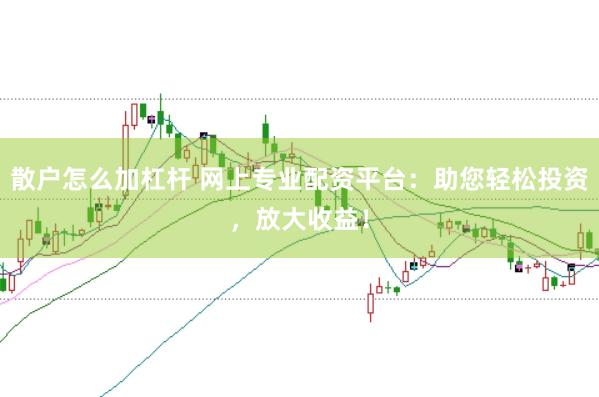 散户怎么加杠杆 网上专业配资平台：助您轻松投资，放大收益！