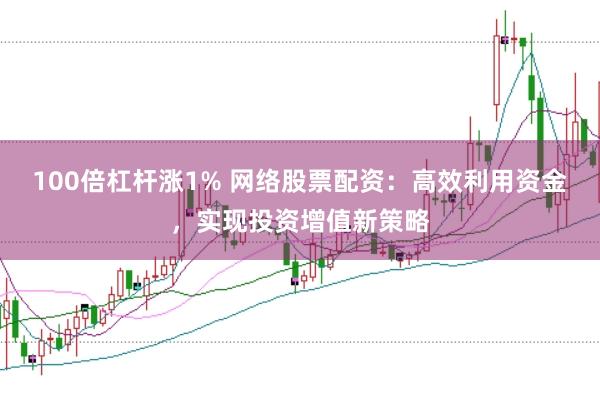 100倍杠杆涨1% 网络股票配资：高效利用资金，实现投资增值新策略