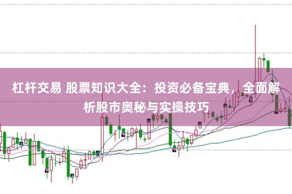 杠杆交易 股票知识大全：投资必备宝典，全面解析股市奥秘与实操技巧