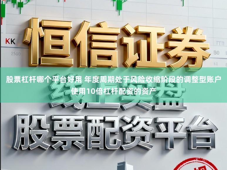 股票杠杆哪个平台好用 年度周期处于风险收缩阶段的调整型账户使用10倍杠杆配资的资产