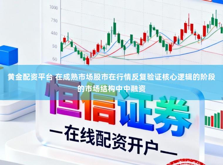 黄金配资平台 在成熟市场股市在行情反复验证核心逻辑的阶段的市场结构中中融资