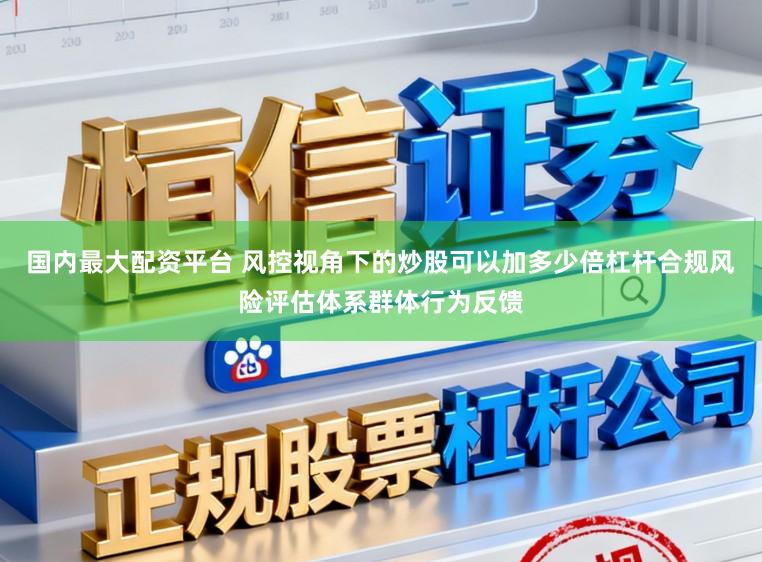 国内最大配资平台 风控视角下的炒股可以加多少倍杠杆合规风险评估体系群体行为反馈